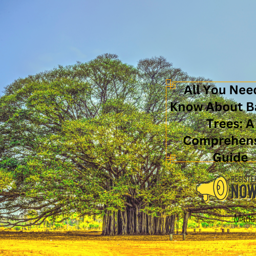 Banyan Trees