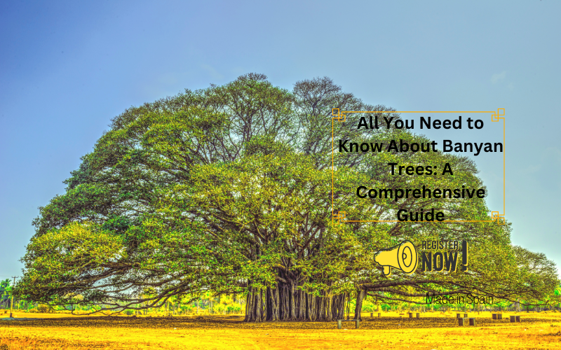 Banyan Trees