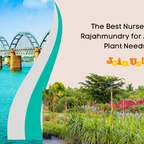  Best Nursery in Rajahmundry