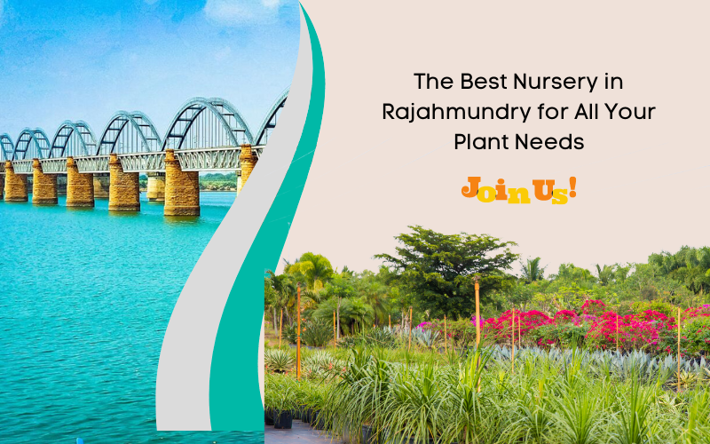  Best Nursery in Rajahmundry