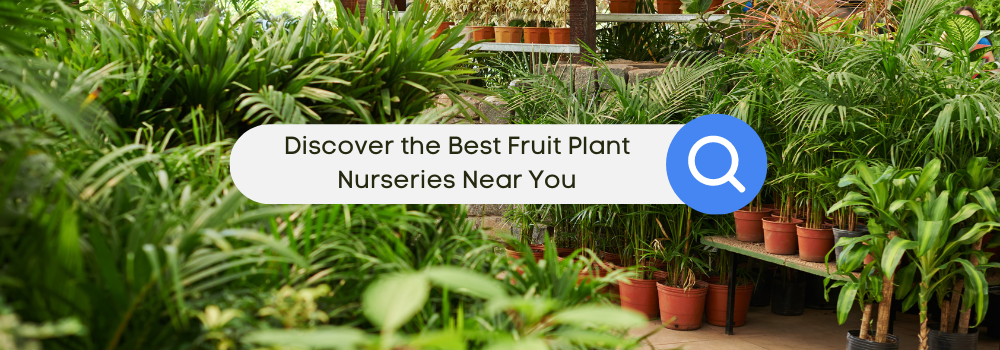 Fruit Plant Nurseries Near You