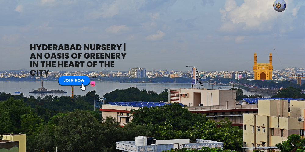 Hyderabad Nursery