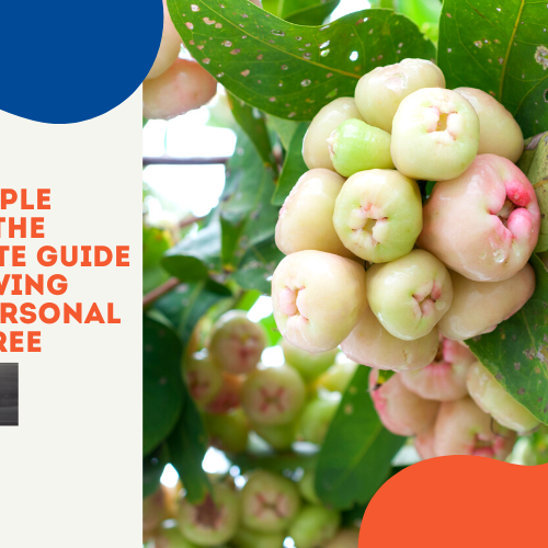 Best Gardening Tips | News and Care — Tagged