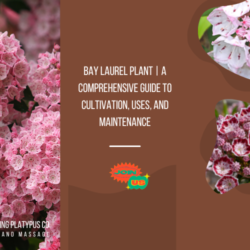 Best Gardening Tips News and Care — Tagged "Bay laurel" — Mahindra