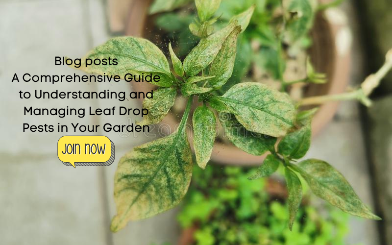 A Comprehensive Guide to Understanding and Managing Leaf Drop Pests in ...