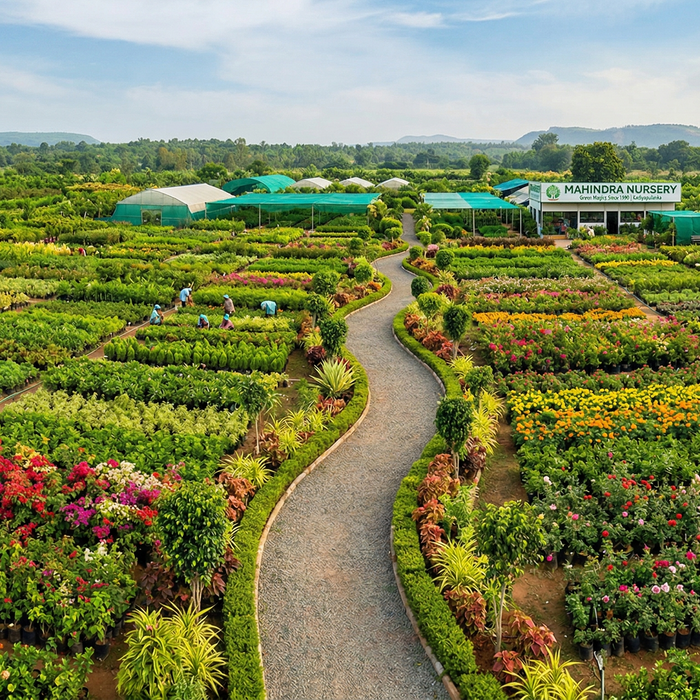Mahindra Nursery
