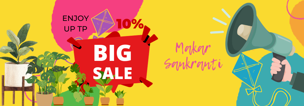 Makara Sankranti sale