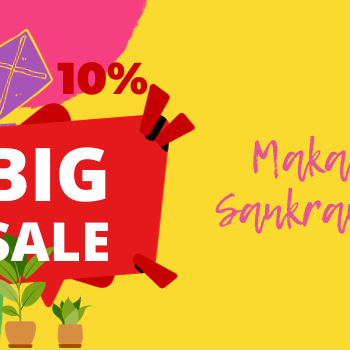 Makara Sankranti sale