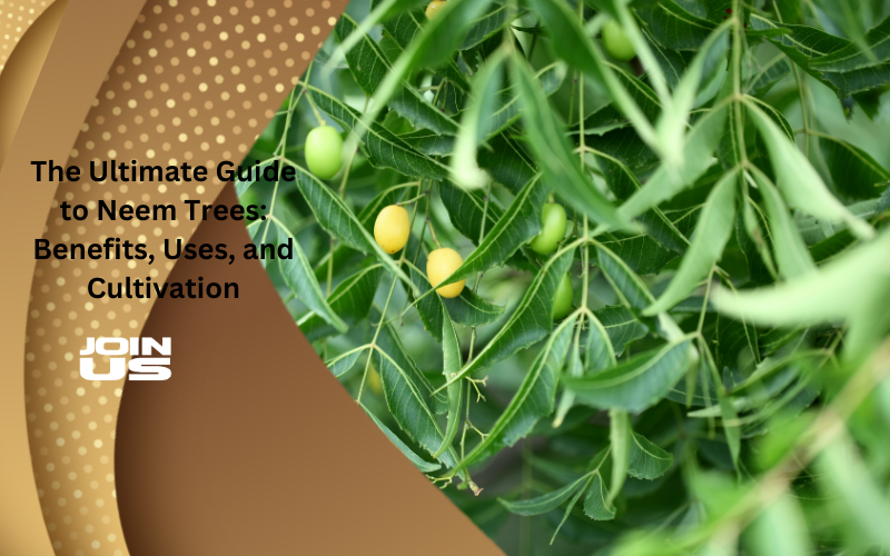 The Ultimate Guide to Neem Trees: Benefits, Uses, and Cultivation ...