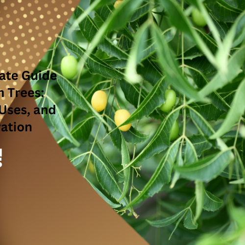 Best Gardening Tips | News and Care — Tagged