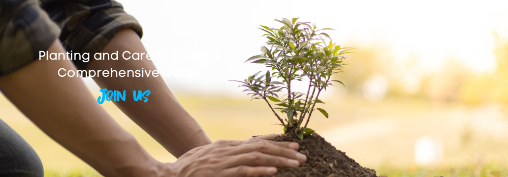 Planting and Care in India