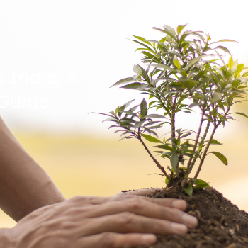 Planting and Care in India