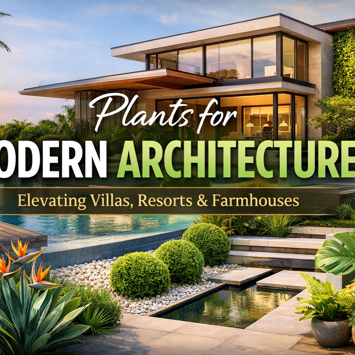 Plants for Modern Architecture