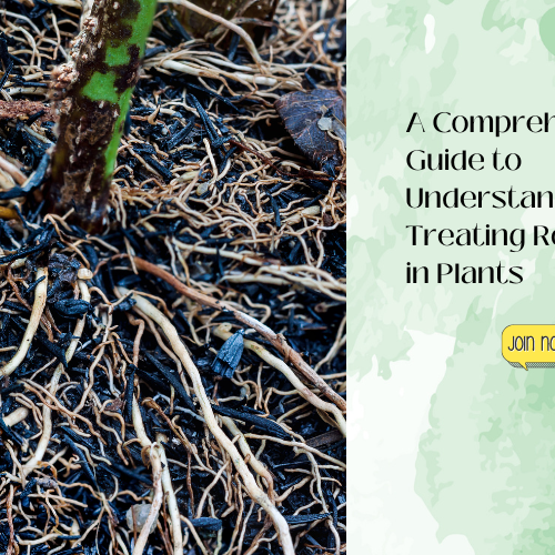 Best Gardening Tips | News and Care β Tagged