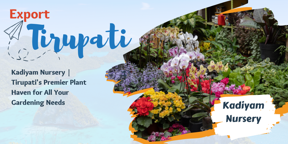 Tirupati Nursery plants