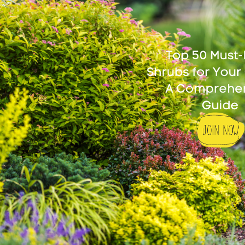 Top 50 Shrubs