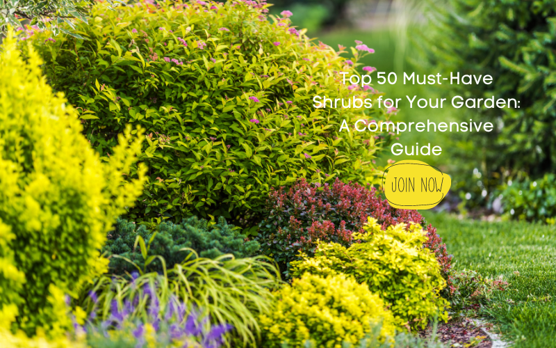 Top 50 Shrubs