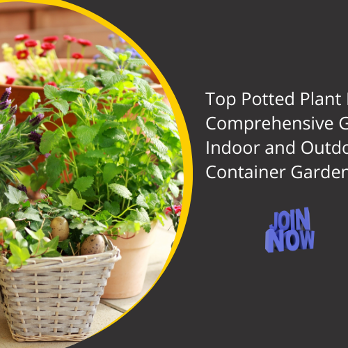 Top Potted Plants