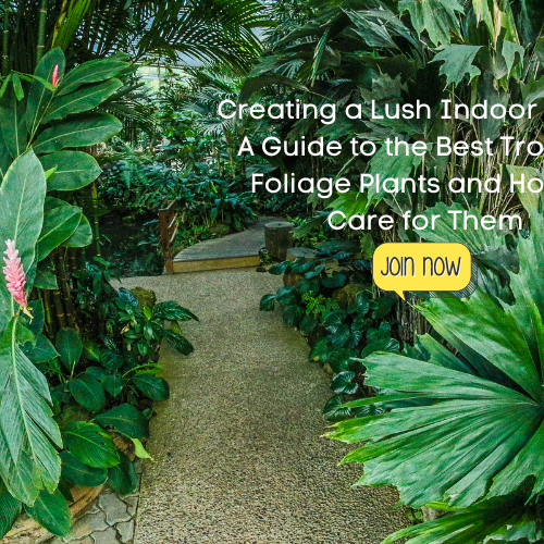 Tropical Foliage Plants