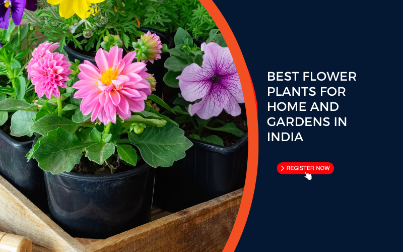 best flowering plants