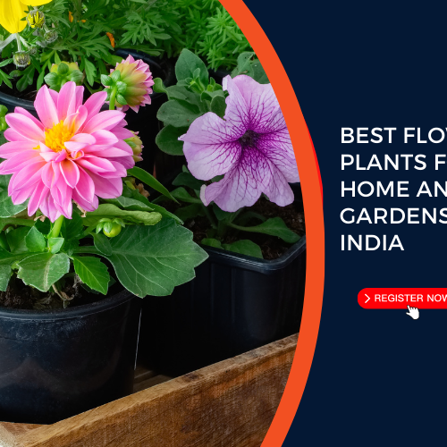 best flowering plants