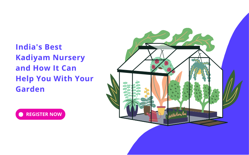 best nursery in kadiyam