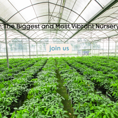 best plant nursery in rajahmundry