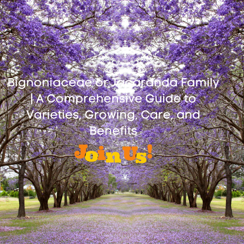 bignoniaceae family