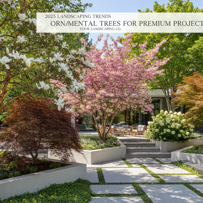 High-Demand Landscaping Trees for 2025 Projects