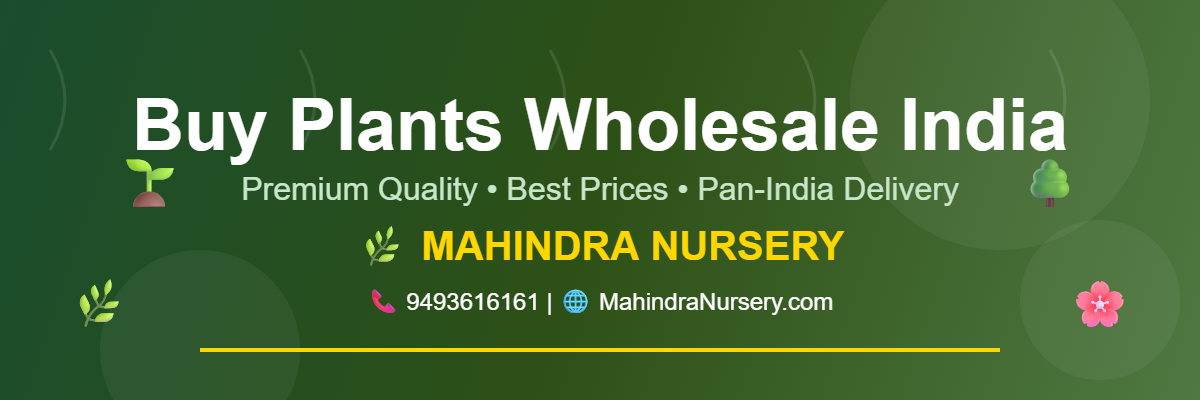 buy plants wholesale India