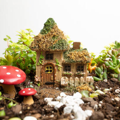 fairy garden