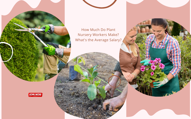 How Much Do Plant Nursery Workers Make? What's the Average Salary ...