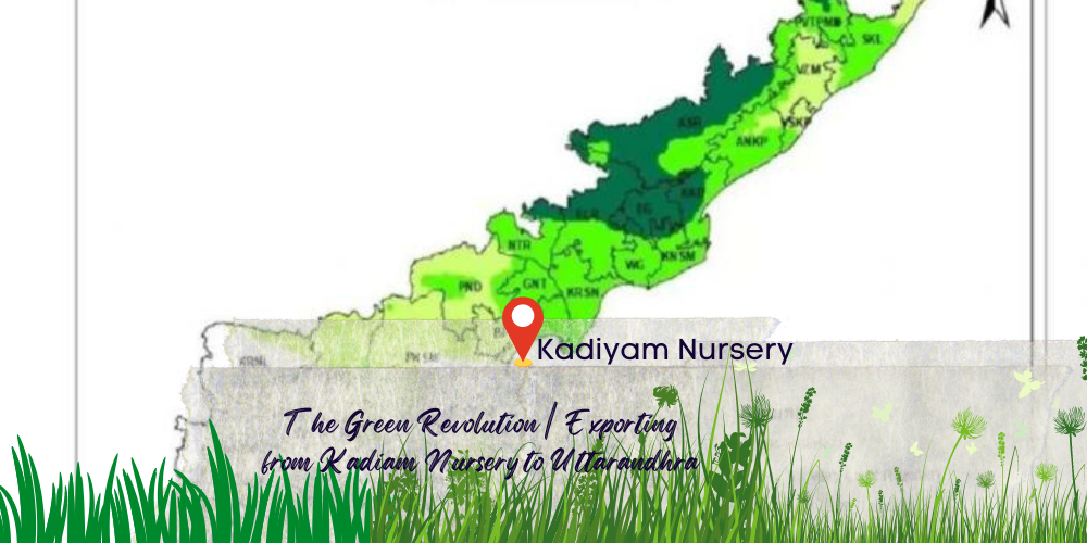 plant nursery srikakulam