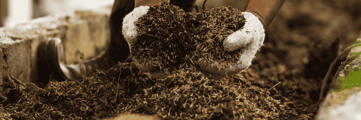 terrace gardening soil mix