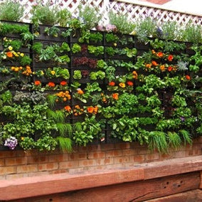 vertical gardening