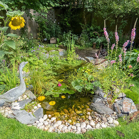 wildlife-friendly garden