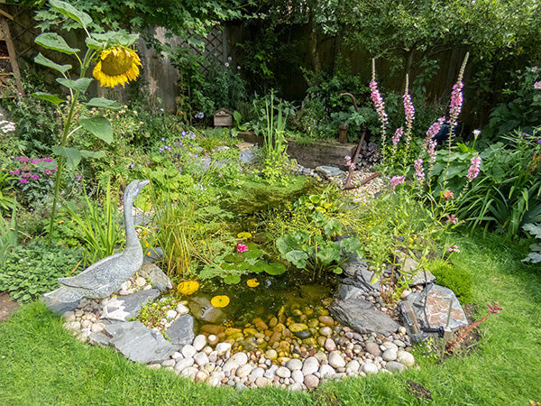 wildlife-friendly garden