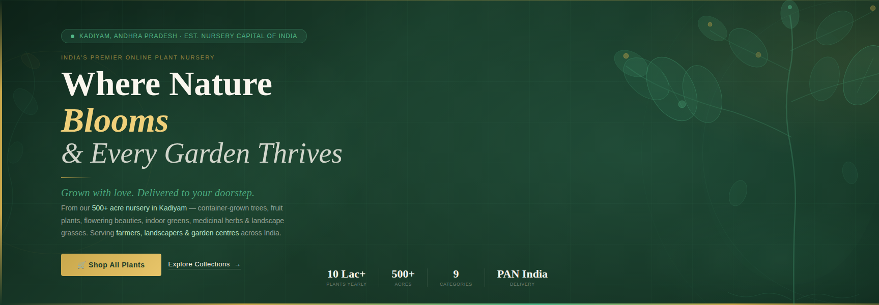 Buy plants online from Kadiyam Nursery – Mahindra Nursery, India's largest wholesale plant nursery, Andhra Pradesh