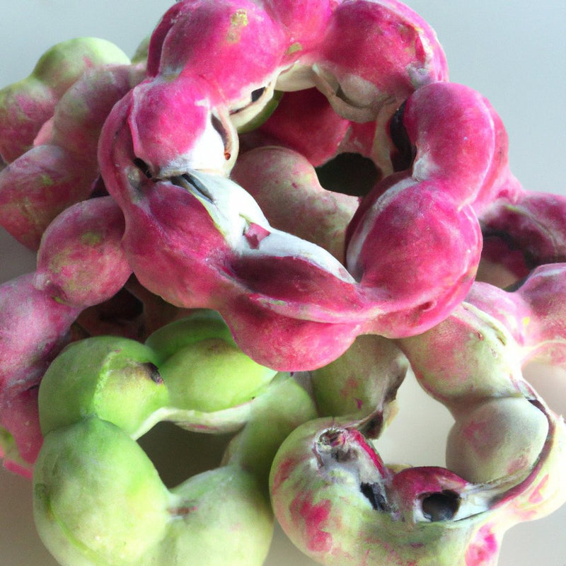 ఫ్రెష్ అండ్ హార్డీ ఇంగా డుల్స్, పిథెకోలోబియం డుల్స్, మద్రాస్ థార్న్ మరియు మనీలా చింతపండు మొక్కలను ఆన్‌లైన్‌లో కొనండి!