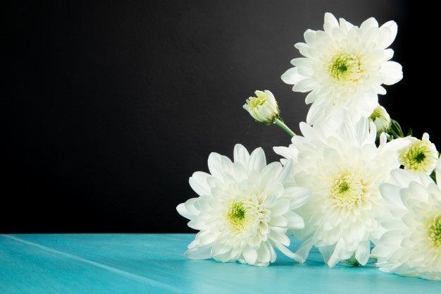 Chrysanthemum Flower White - Kadiyam Nursery