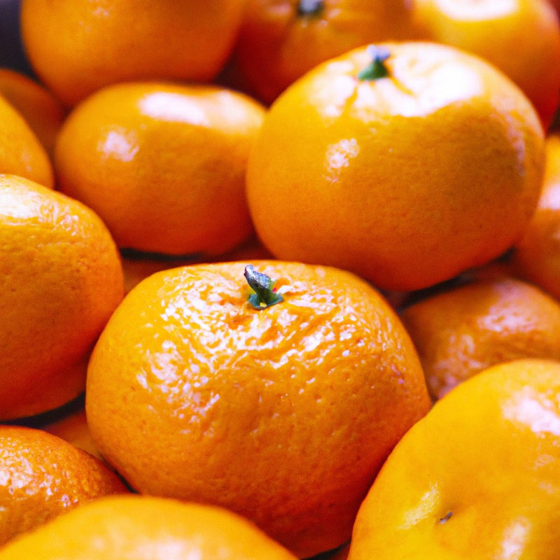 నారింజ చెట్లను ఆన్‌లైన్‌లో కొనండి | C. రెటిక్యులాటా, C. డెలిసియోసా మరియు C. నోబిలిస్ రకాలు